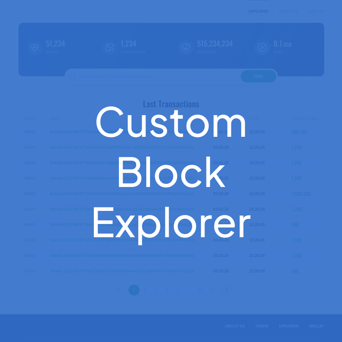 CUSTOM BLOCK EXPLORER